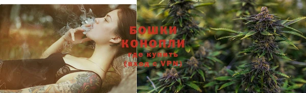 трава Аркадак