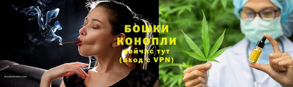 трава Аркадак