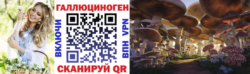 хочу   Армянск  Псилоцибиновые грибы мухоморы 